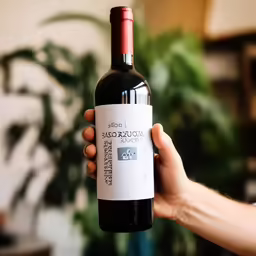 the hand holds a bottle of wine in front of a plant