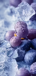 small fruits that are next to some ice