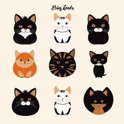 a series of nine cats sitting together with different colors and faces