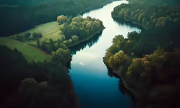 trees surrounding a small lake surrounded by other woods