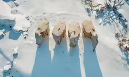 four pieces of wood on top of snow covered ground