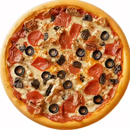 a close up of a pizza with many toppings