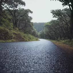 the image is looking down the road in the forest