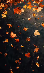 falling leaves on the ground during autumn