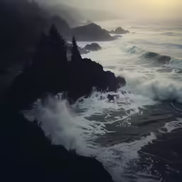 waves crash on the shoreline while fog looms in the background