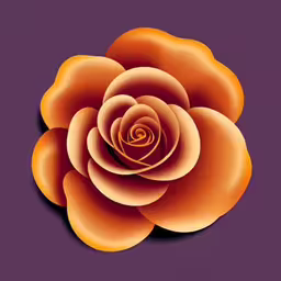 an image of a rose on a purple background,there is a beautiful orange rose bloom