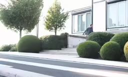 a man is standing on some steps near a row of trees