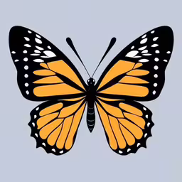 a picture of a butterfly with a blue background,an orange butterfly with white spots on its wings
