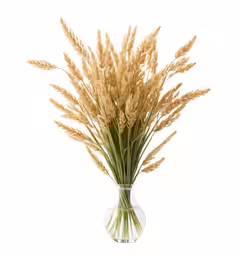 a vase filled with lots of long dry grass