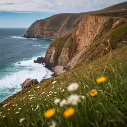 a hillside next to a cliff has wild flowers growing around it