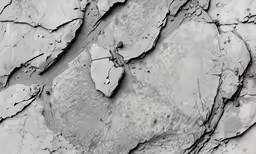 black and white cracked concrete with a worn paint chipping