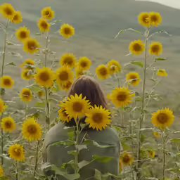 the back of a girl with a sunflower in front of her