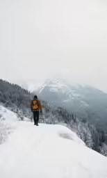 a person with skis is hiking up a hill