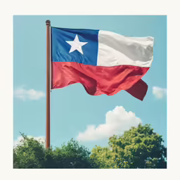 texas flag flying on a pole in the middle of a blue sky