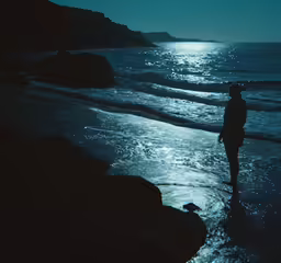 a silhouette of a person standing at the edge of the water