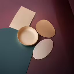 a pair of brown and white plates sitting on a purple surface