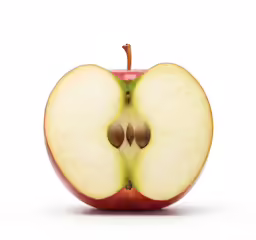 the sliced apple shows the middle section and the core