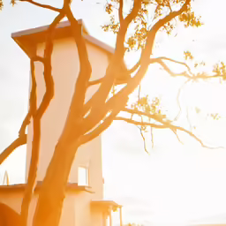 a large white building sitting under a tree