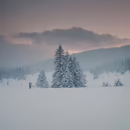 two people are standing next to a small fir tree