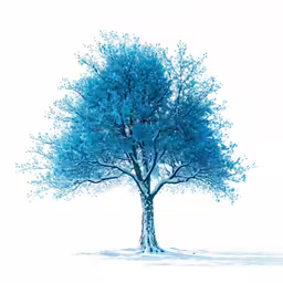 the blue tree has some tiny leaves on it
