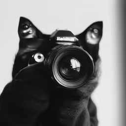 a cat is holding a camera in his hand