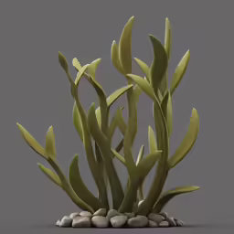 there is a plant that is on some rocks