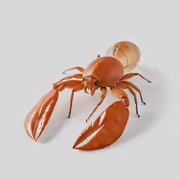 a large brown crab is sitting on the floor