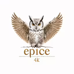 the bird is on the white background and has the words