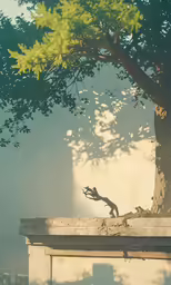 there is a tree and bench near the wall