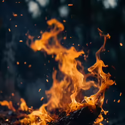 orange flames spread across the ground as it goes down