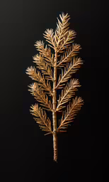 a tree with yellow leaves on the top