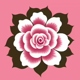 pink and white flower with leaves against a pink background,a pink flower is on the back of a black and white rose