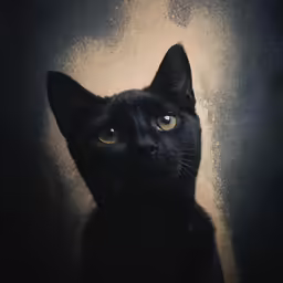 a black cat looking off into the distance with brown highlights