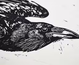 a crow drawn with black ink sitting in front of white paper,a black raven sitting on a white surface