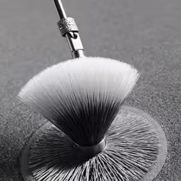 a black and white image of a small brush
