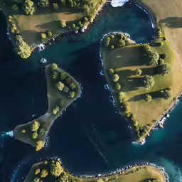 a heart shaped beach with trees on it