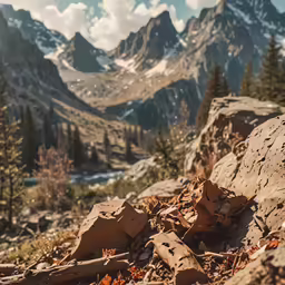 the mountain with rocks and fallen leaves with the snow