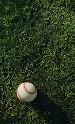an over head shot of a ball in the grass