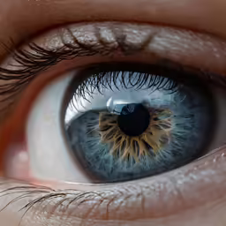 a close up view of an eye with many eyelashes