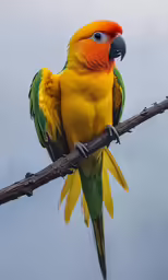 a large parrot sitting on top of a branch