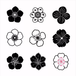 a collection of flowers arranged on a white background,a collection of different flower design on a white background