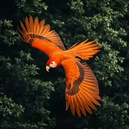 a parrot flies over the green trees outside