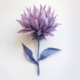 a purple flower with leaves on a white background