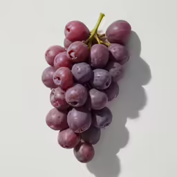 a bunch of grapes are hanging from a stem