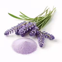 lavender is a purple substance with a green branch beside it