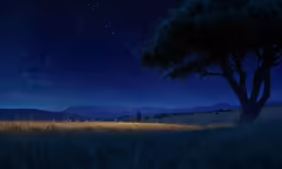 two people stand on the horizon at night