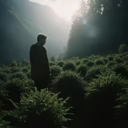 a person is standing on the side of a hill