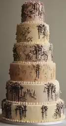 this cake has many layers and designs all over it