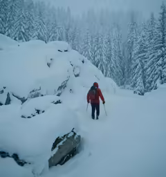 a skier descending the mountain on a very snowy day