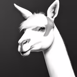 a white lama standing against a black background
